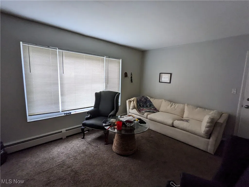 Carpeted living area featuring a baseboard heating unit