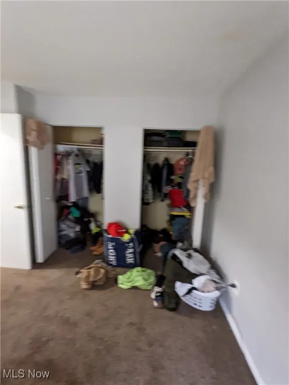 Bedroom with multiple closets and carpet floors