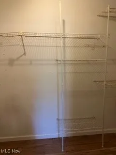 Walk in closet with wood finished floors