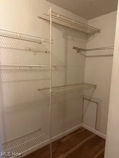 Spacious closet featuring wood finished floors