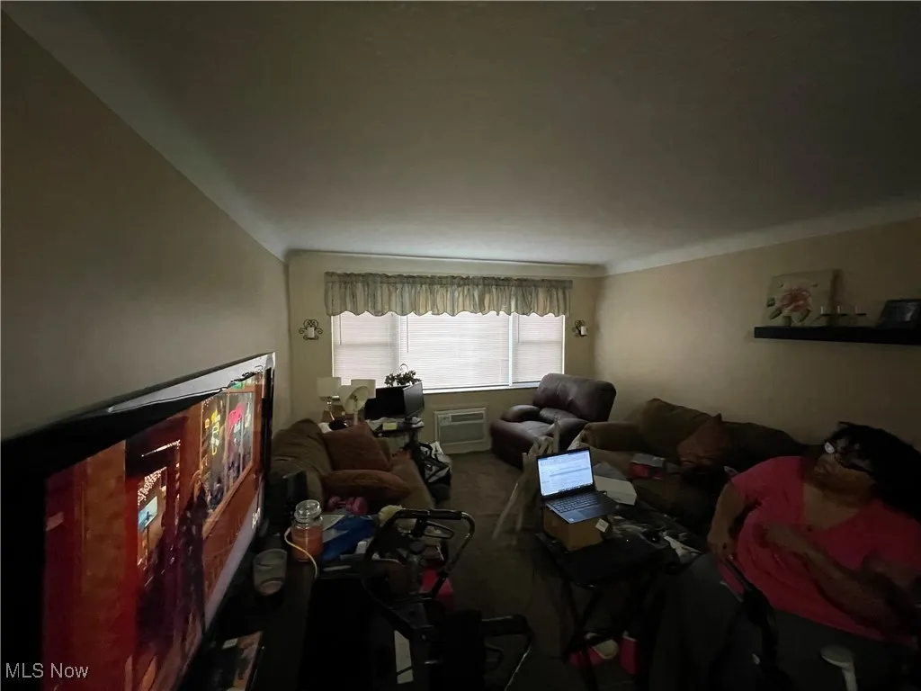 Living area featuring carpet flooring