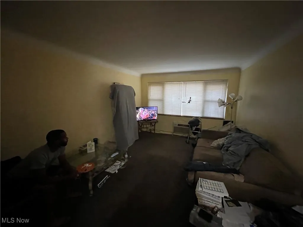 Living area with carpet and a wall mounted AC