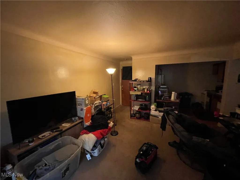 Living area featuring carpet floors