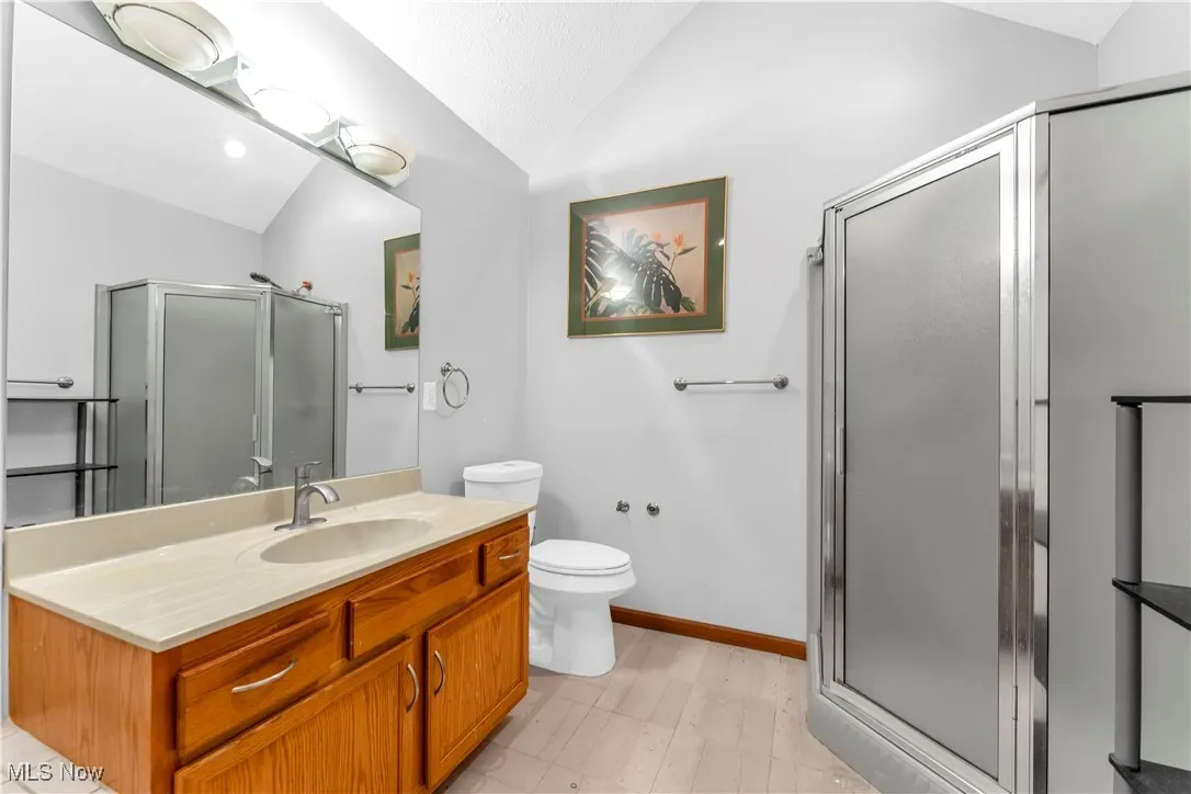 Bathroom featuring vaulted ceiling, a stall shower, vanity, and toilet