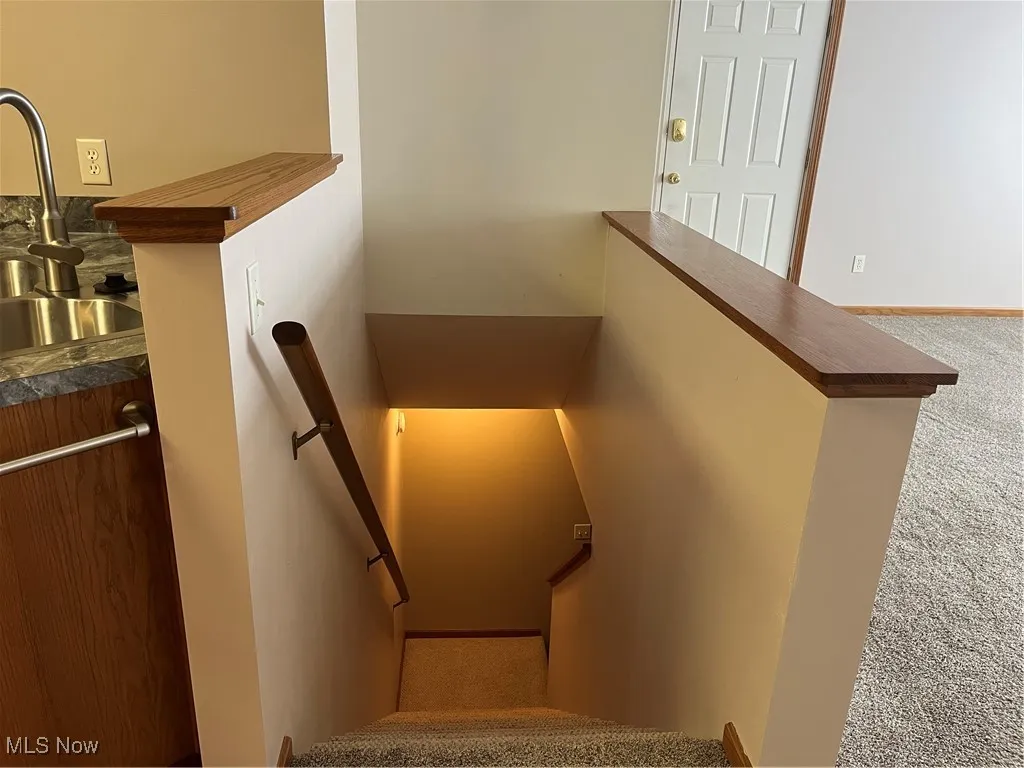 Stairs with carpet flooring