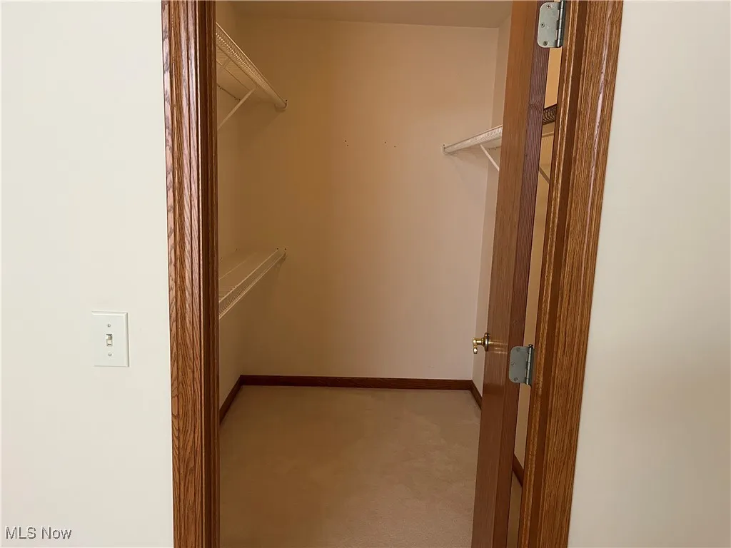 Walk in closet featuring light carpet