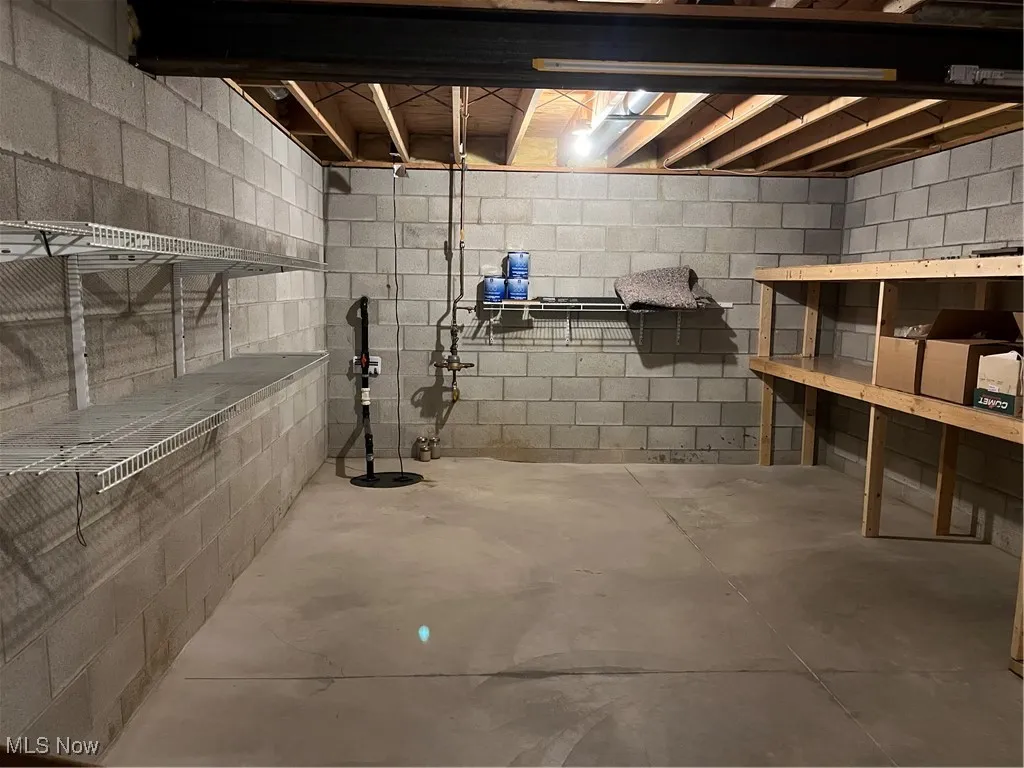 View of unfinished basement