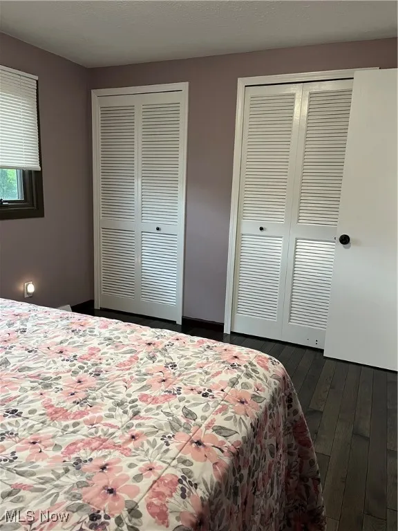 Bedroom with two closets and dark wood-type flooring