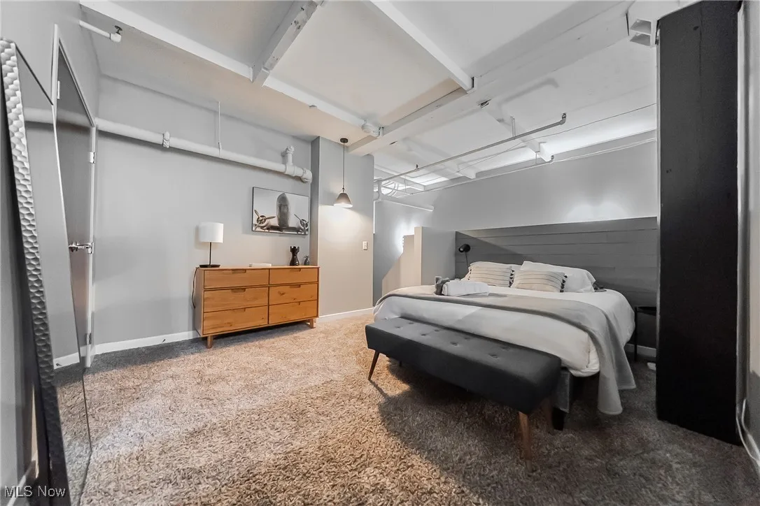 1133 W 9th Street # 305, Cleveland, Ohio,MLS Now Listing ID