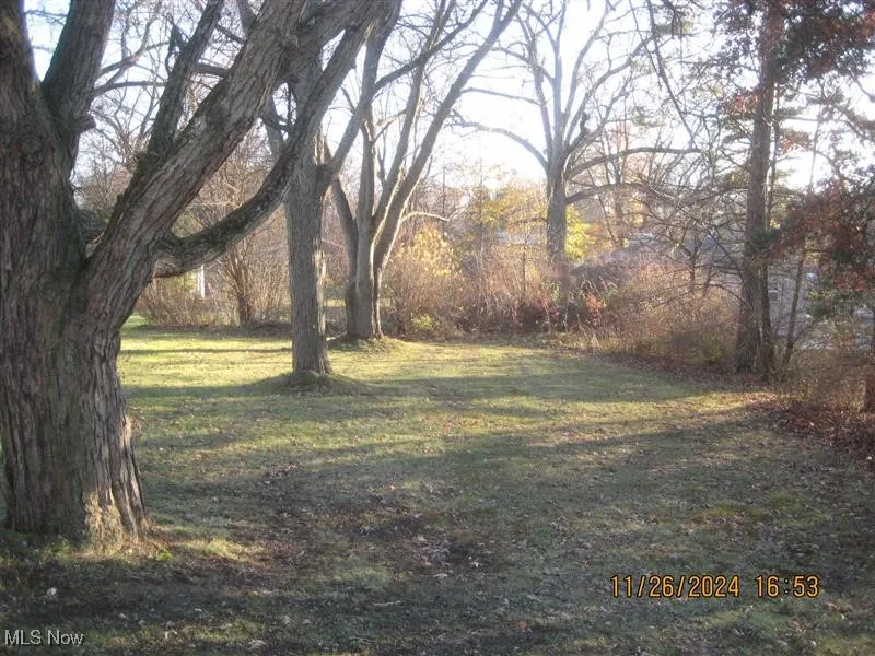 View of lot