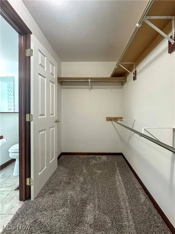 Primary walk-in closet