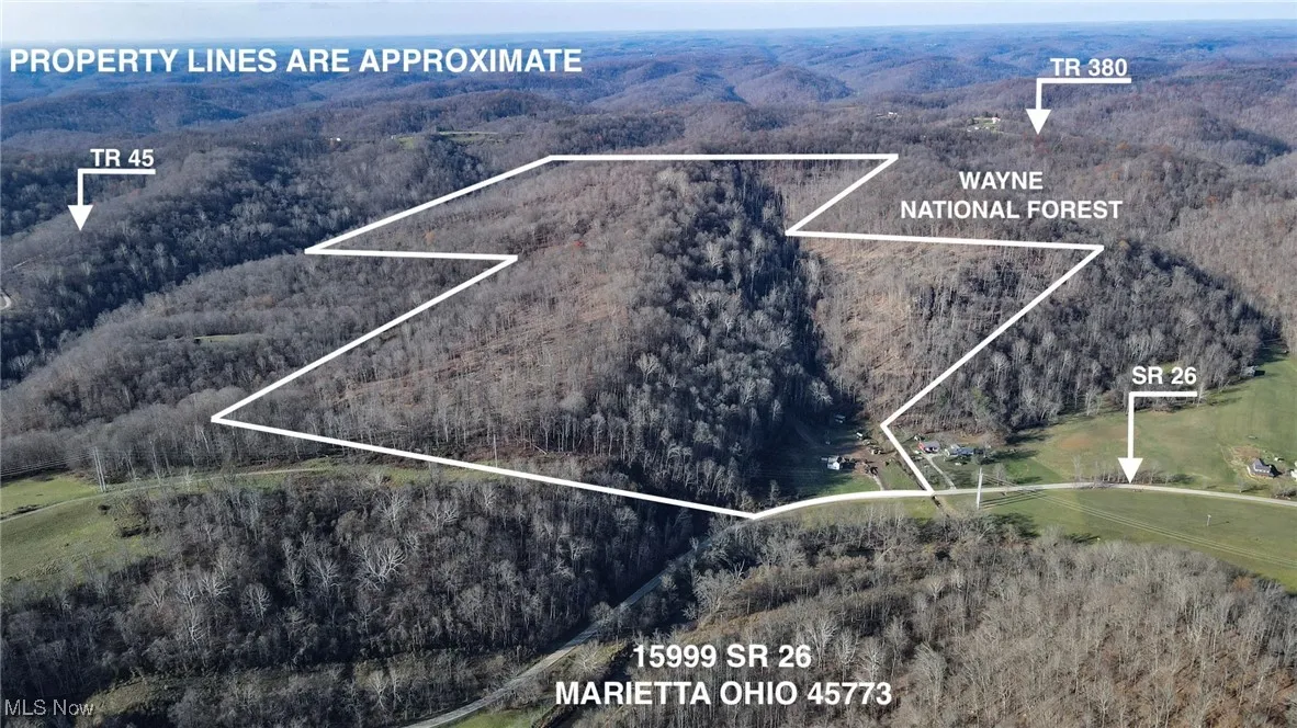 Aerial overview of property's location with a forest, property parcel outlined, and a mountainous background