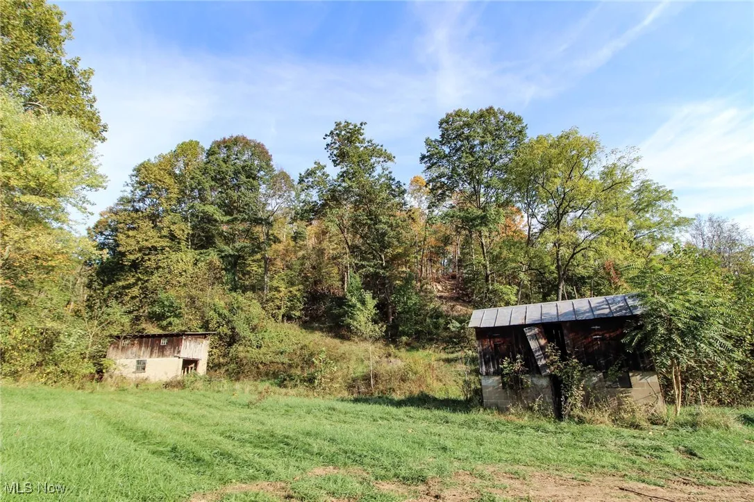 View of yard with an outdoor structure and a view of trees