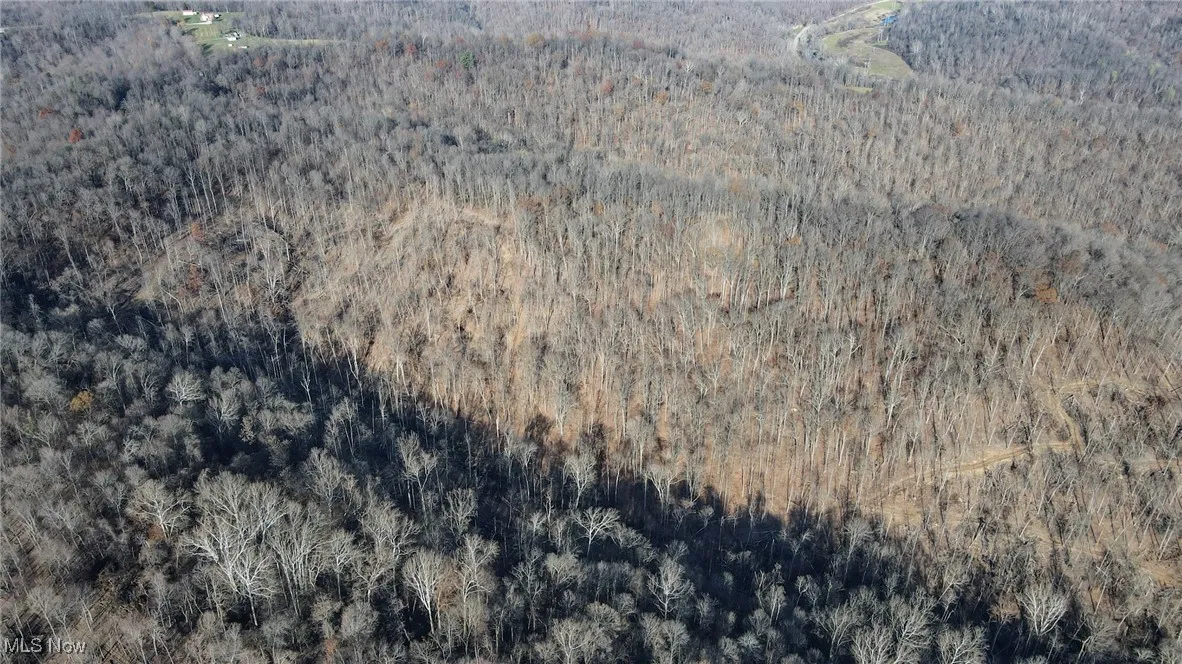 Aerial view of property's location with a forest