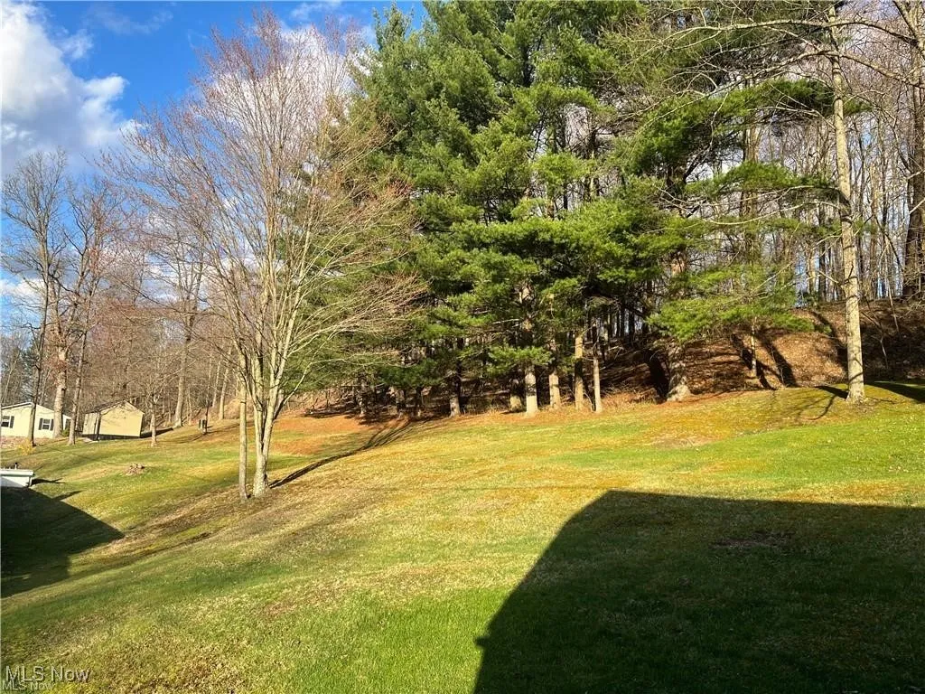 View of grassy yard