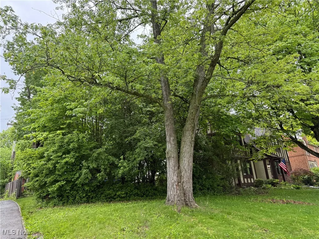 View of green lawn