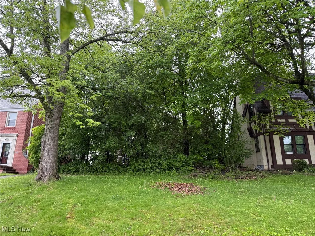 View of green lawn