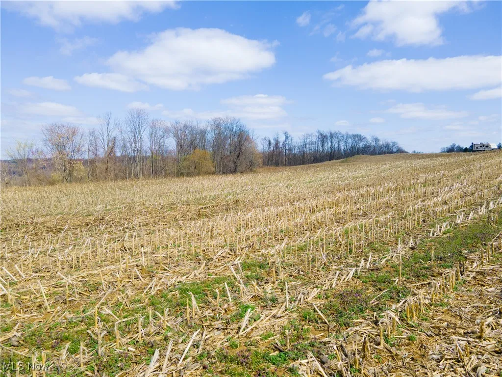 Norfield Road, New Concord, Ohio,MLS Now Listing ID