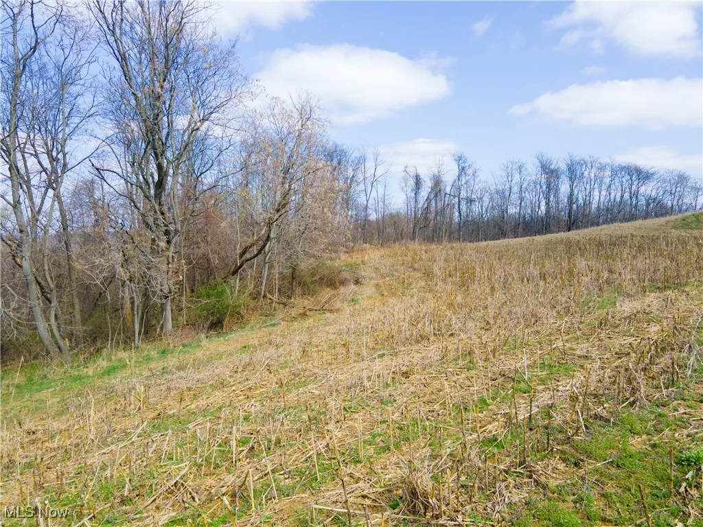 Norfield Road, New Concord, Ohio,MLS Now Listing ID
