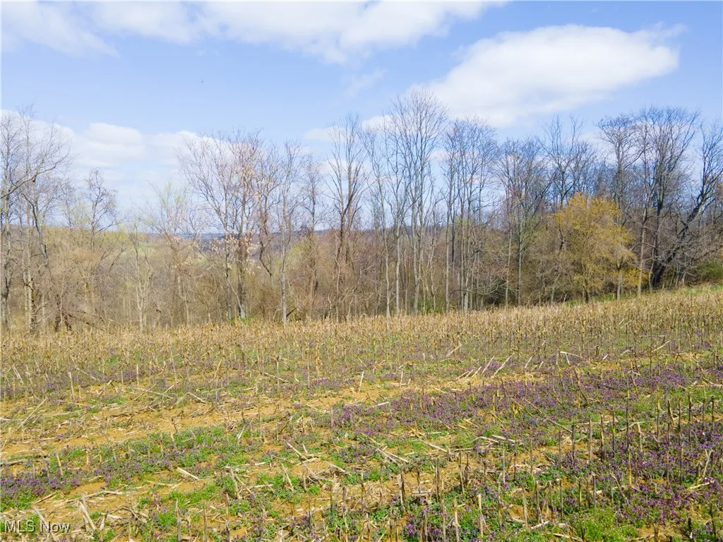 Norfield Road, New Concord, Ohio,MLS Now Listing ID
