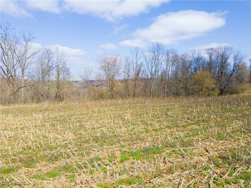 Norfield Road, New Concord, Ohio,MLS Now Listing ID
