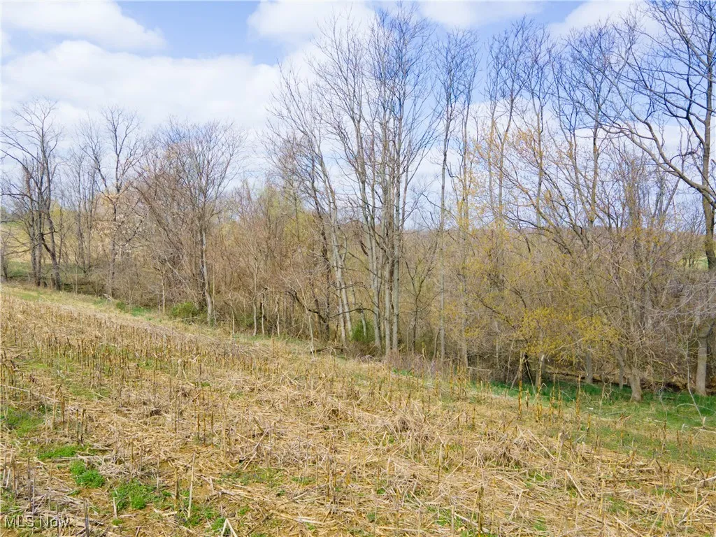 Norfield Road, New Concord, Ohio,MLS Now Listing ID