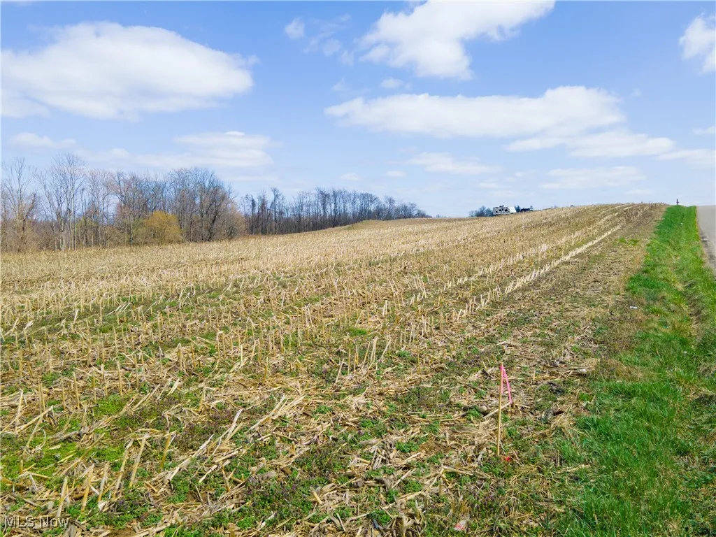Norfield Road, New Concord, Ohio,MLS Now Listing ID