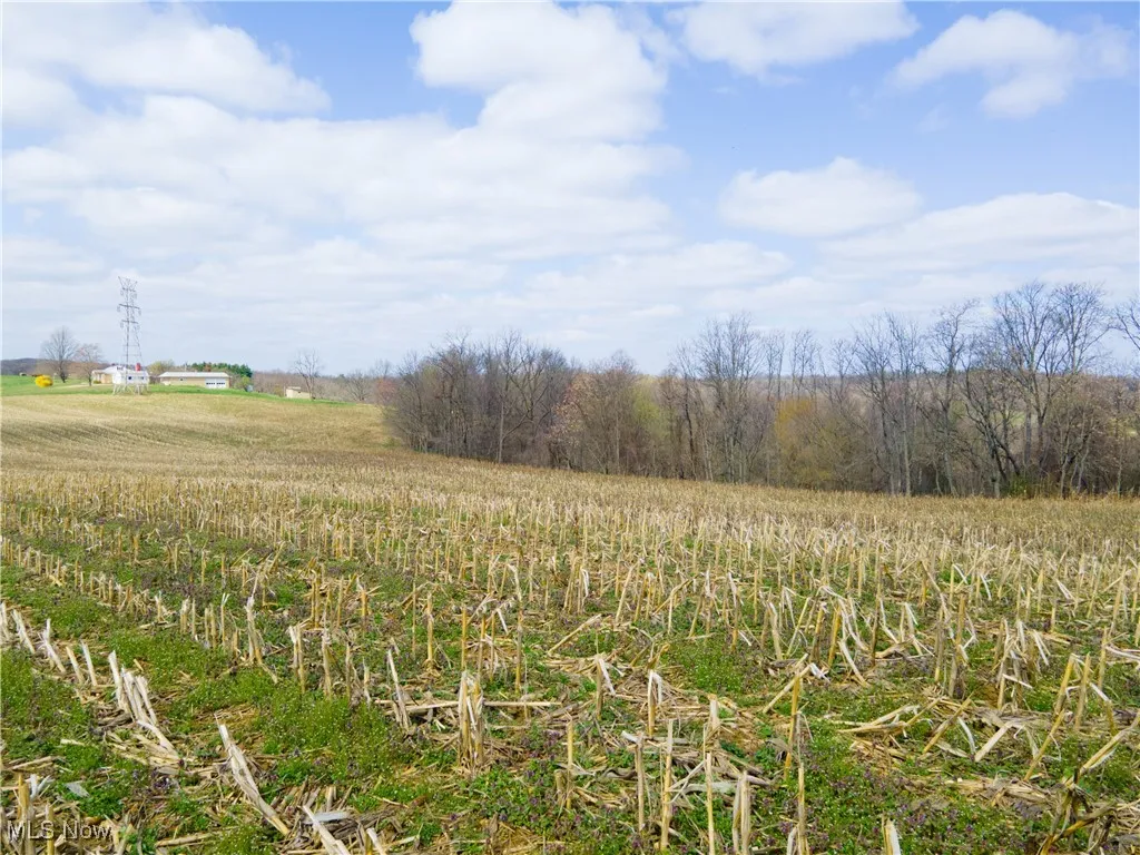 Norfield Road, New Concord, Ohio,MLS Now Listing ID