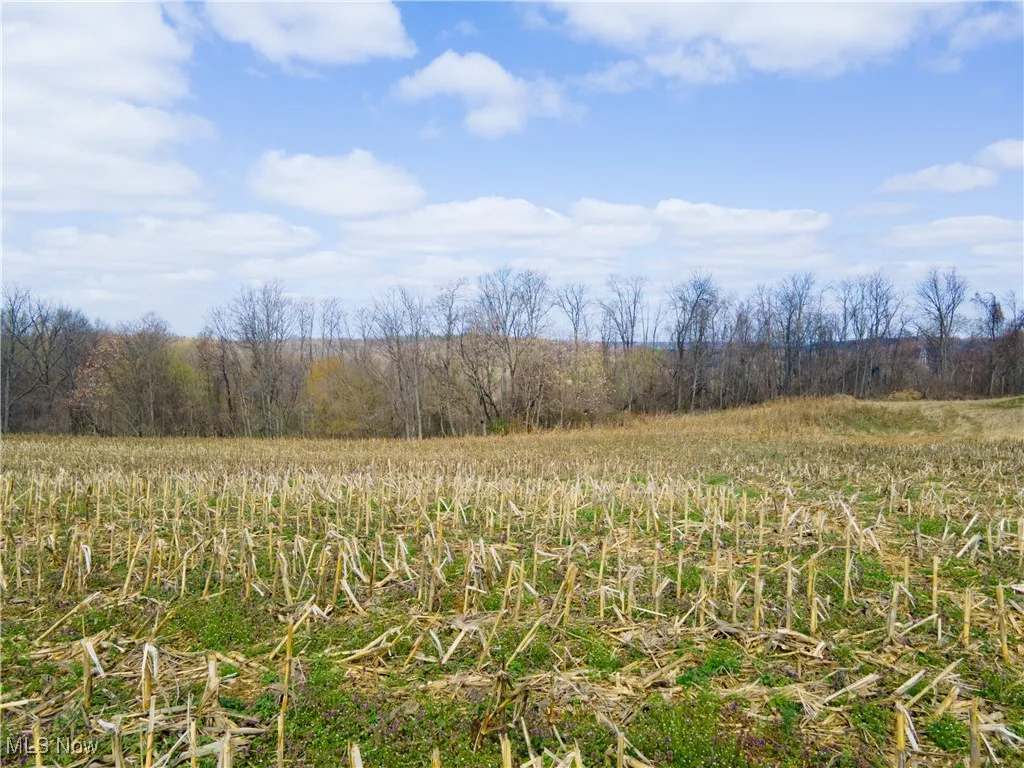 Norfield Road, New Concord, Ohio,MLS Now Listing ID