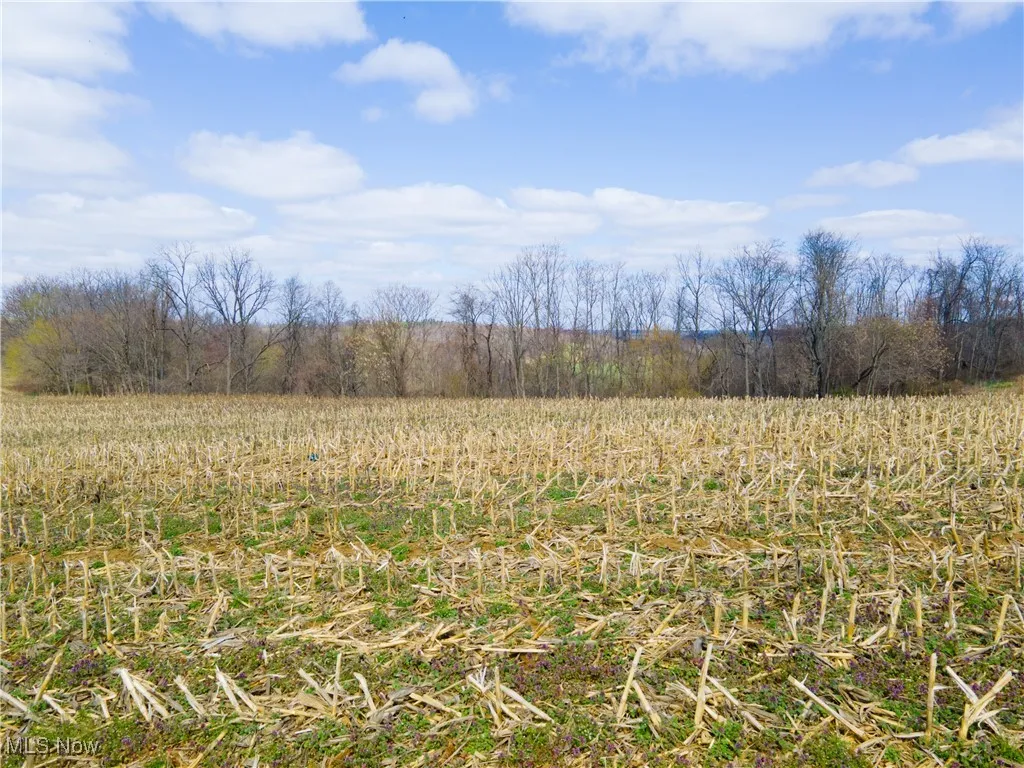Norfield Road, New Concord, Ohio,MLS Now Listing ID