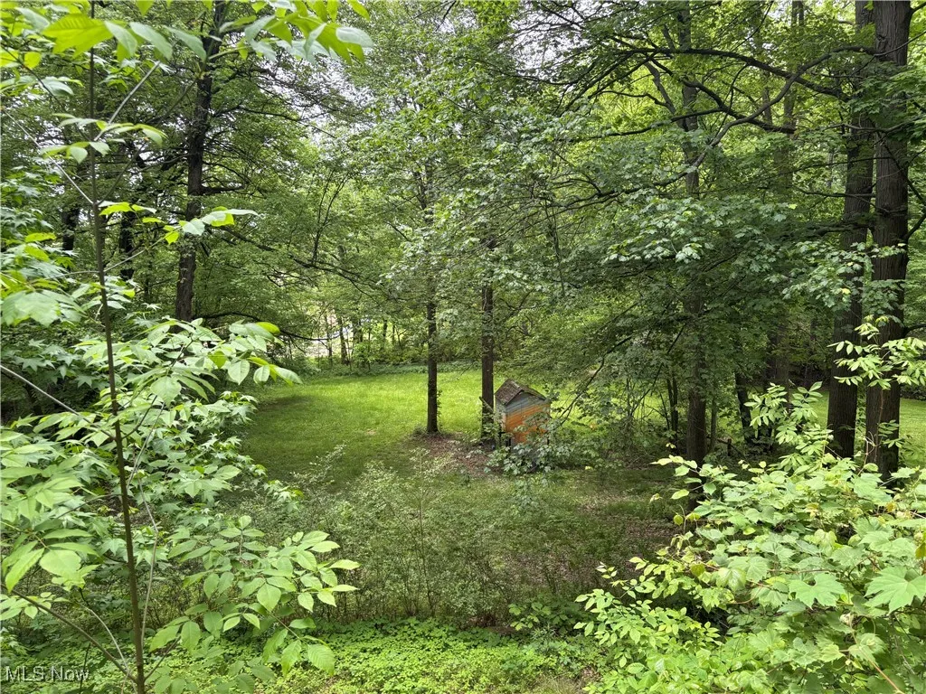 4696 Riverdale Street, Bolivar, Ohio,MLS Now Listing ID