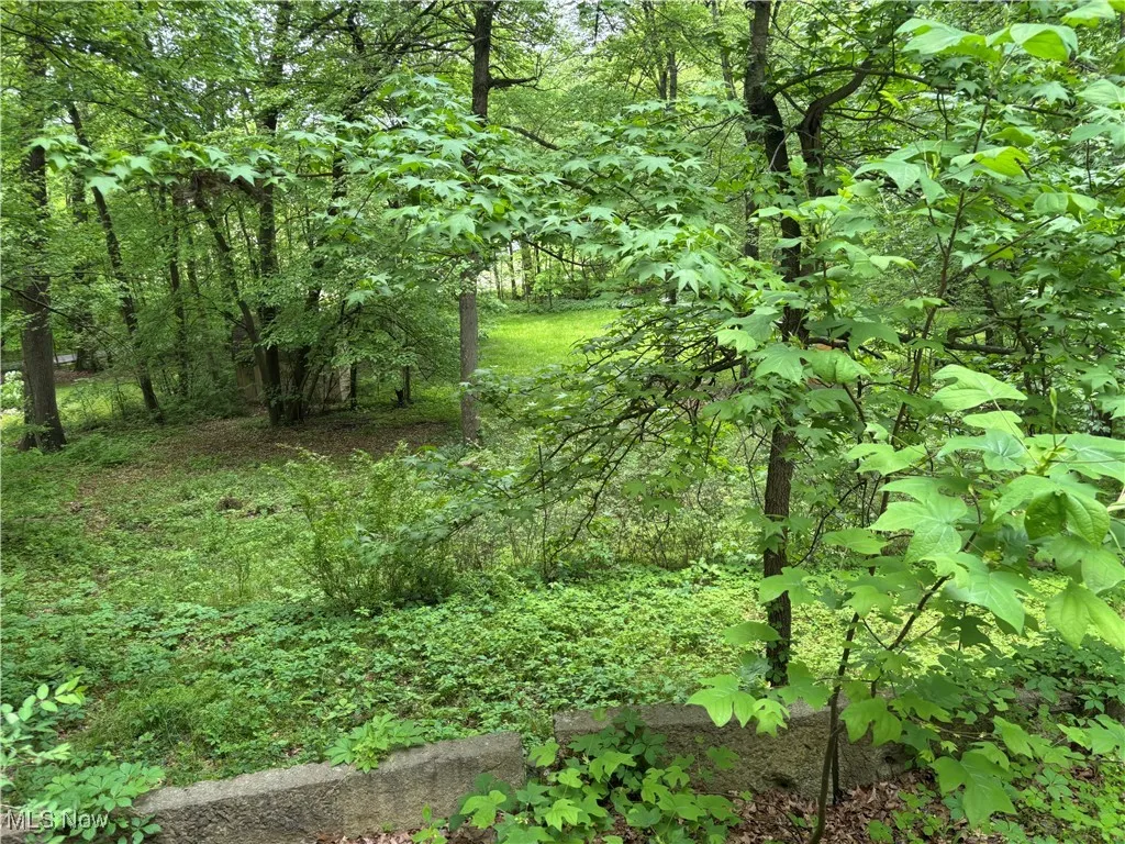 4696 Riverdale Street, Bolivar, Ohio,MLS Now Listing ID