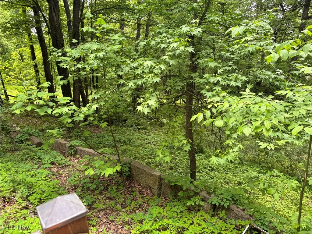 4696 Riverdale Street, Bolivar, Ohio,MLS Now Listing ID