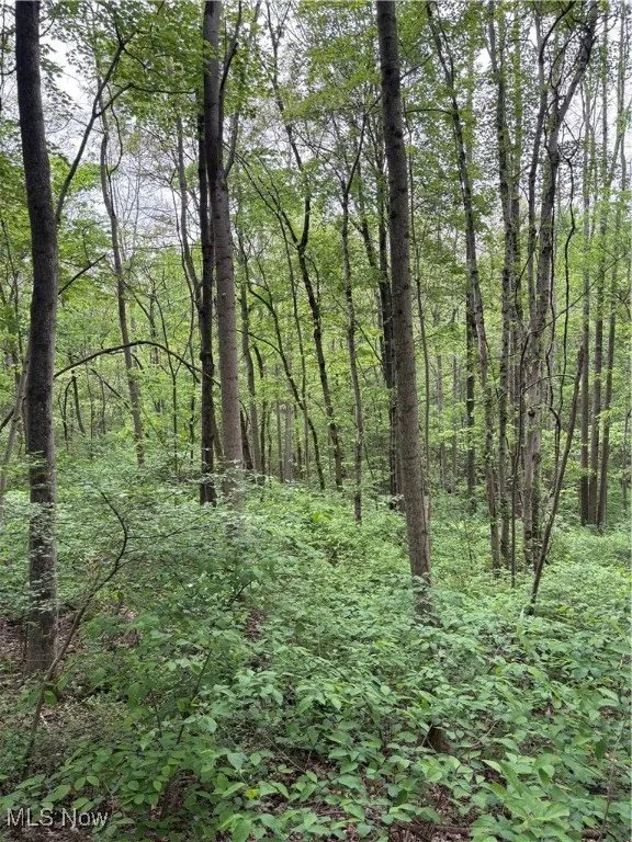 Dennis Road, Zanesville, Ohio,MLS Now Listing ID