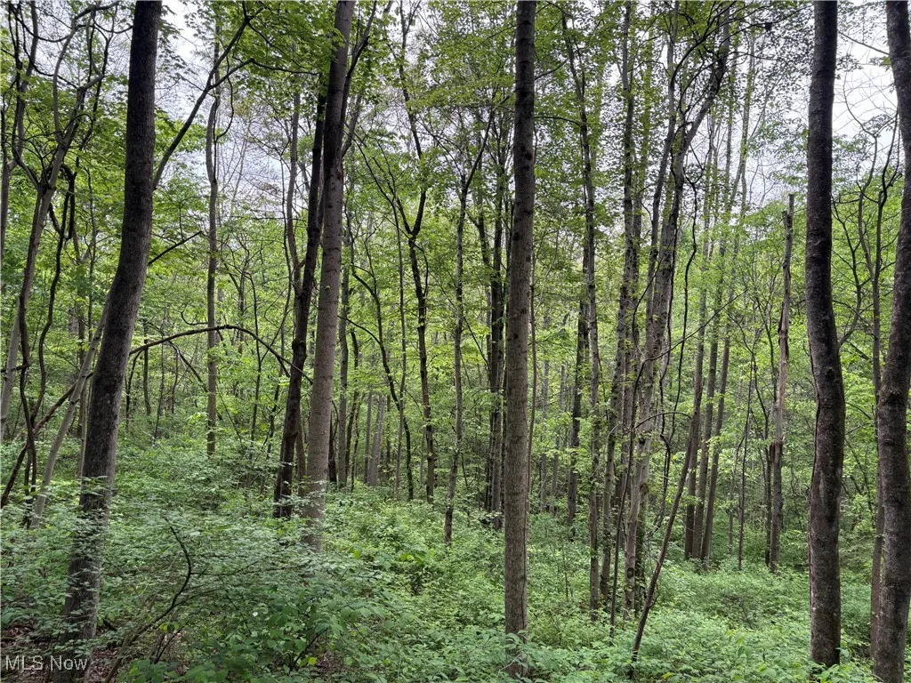 Dennis Road, Zanesville, Ohio,MLS Now Listing ID