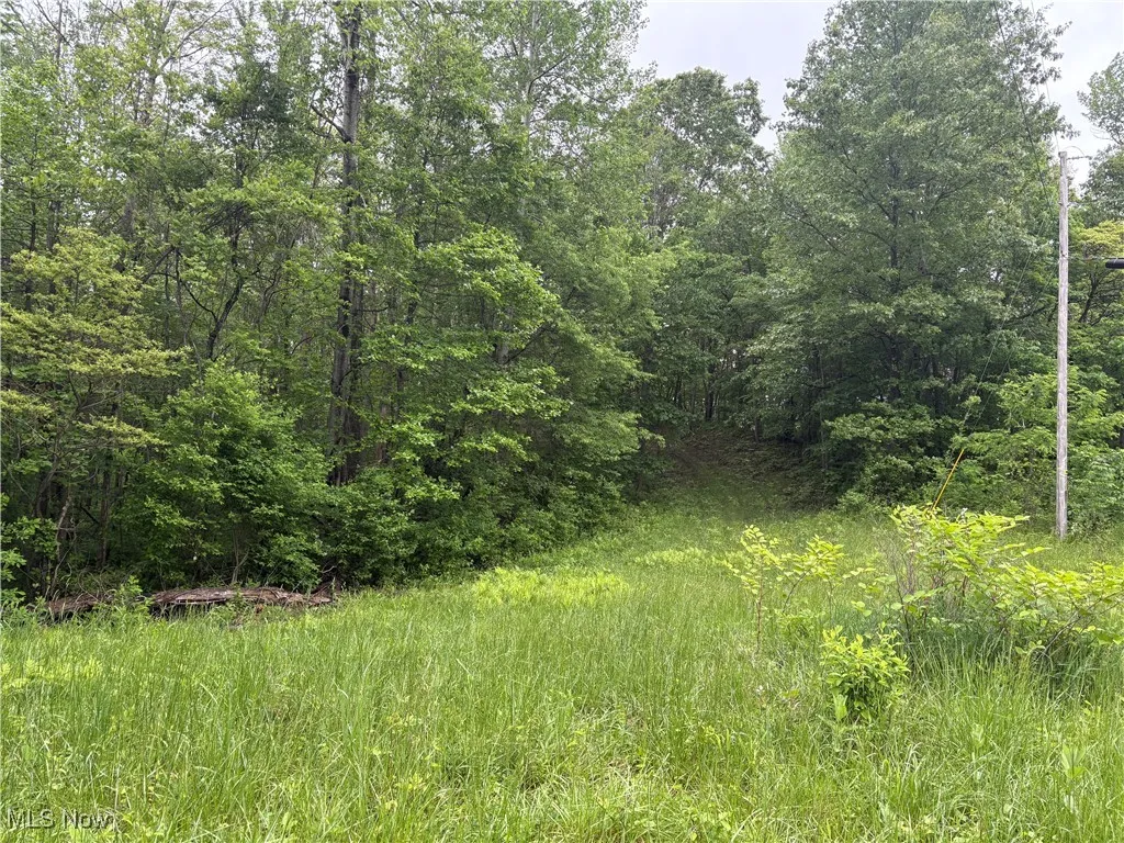 Dennis Road, Zanesville, Ohio,MLS Now Listing ID