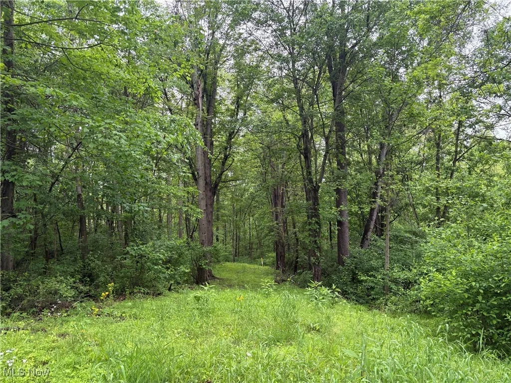 Dennis Road, Zanesville, Ohio,MLS Now Listing ID