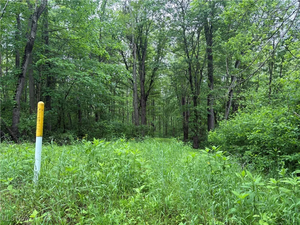 Dennis Road, Zanesville, Ohio,MLS Now Listing ID