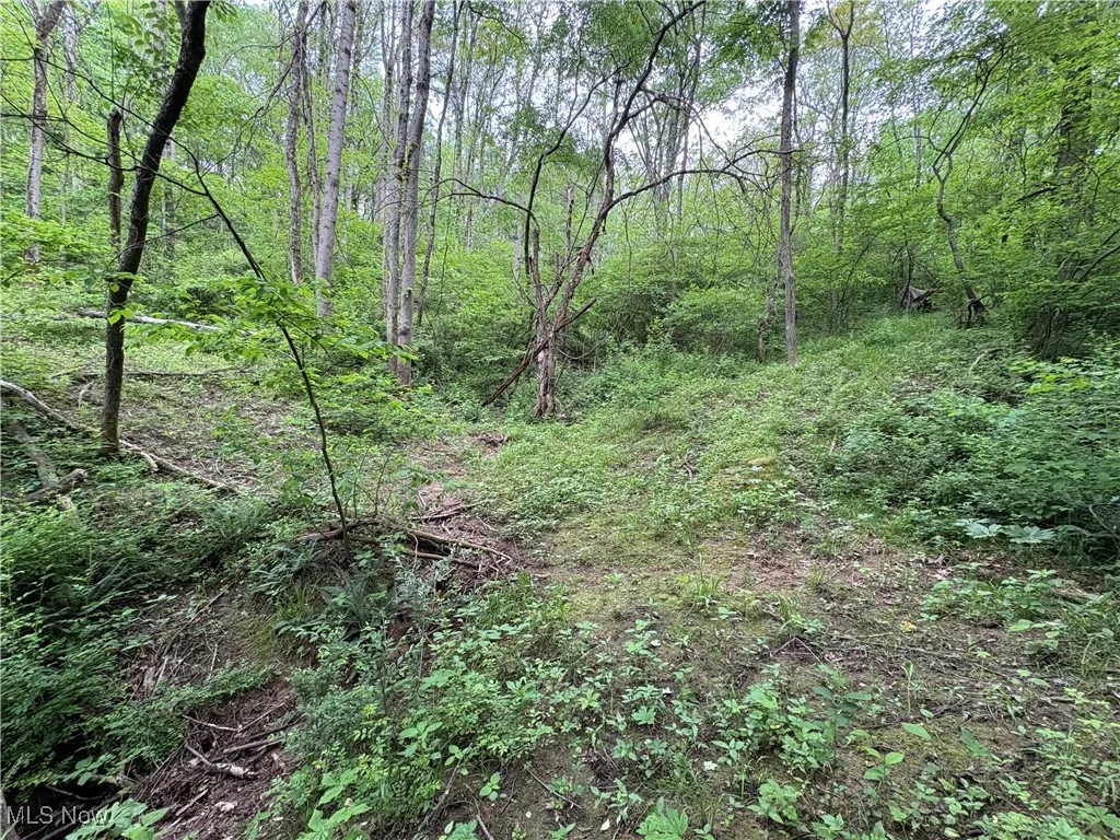 Granger Hill Road, Zanesville, Ohio 43701,MLS Now Listing ID