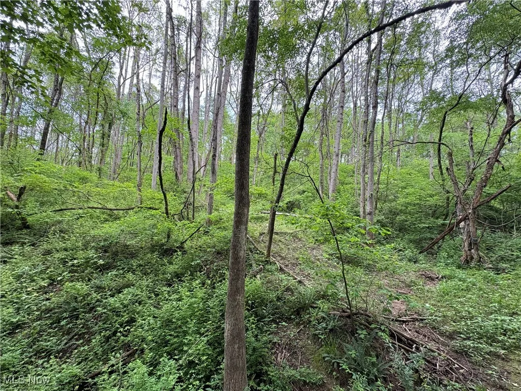 Granger Hill Road, Zanesville, Ohio,MLS Now Listing ID