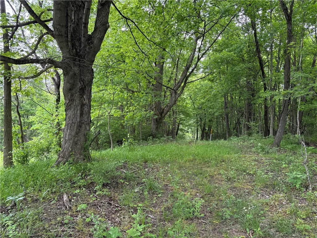 Granger Hill Road, Zanesville, Ohio,MLS Now Listing ID