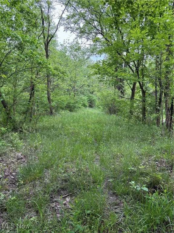 Granger Hill Road, Zanesville, Ohio,MLS Now Listing ID