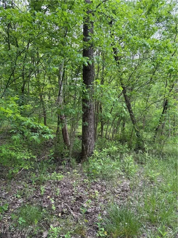 Granger Hill Road, Zanesville, Ohio,MLS Now Listing ID