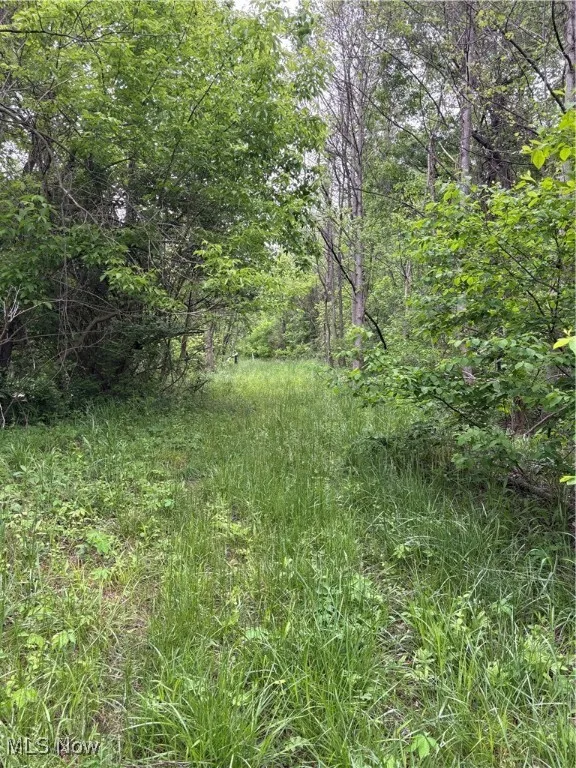 Granger Hill Road, Zanesville, Ohio 43701,MLS Now Listing ID
