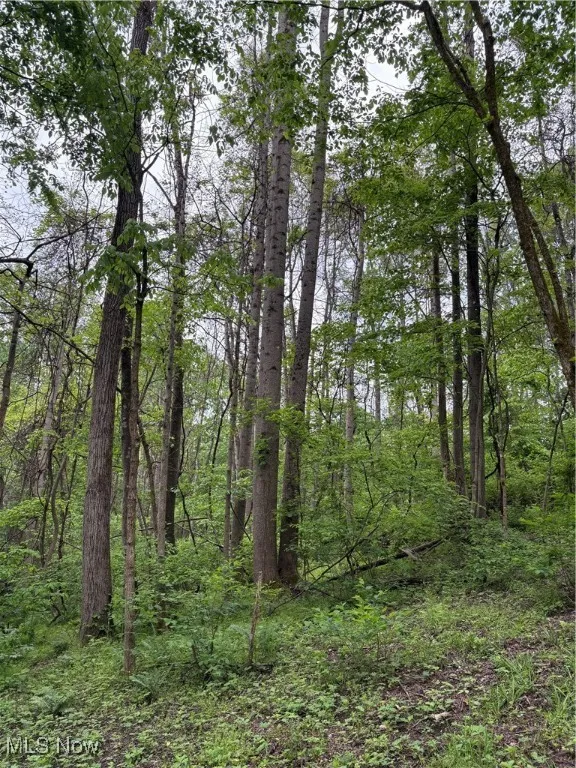 Granger Hill Road, Zanesville, Ohio 43701,MLS Now Listing ID