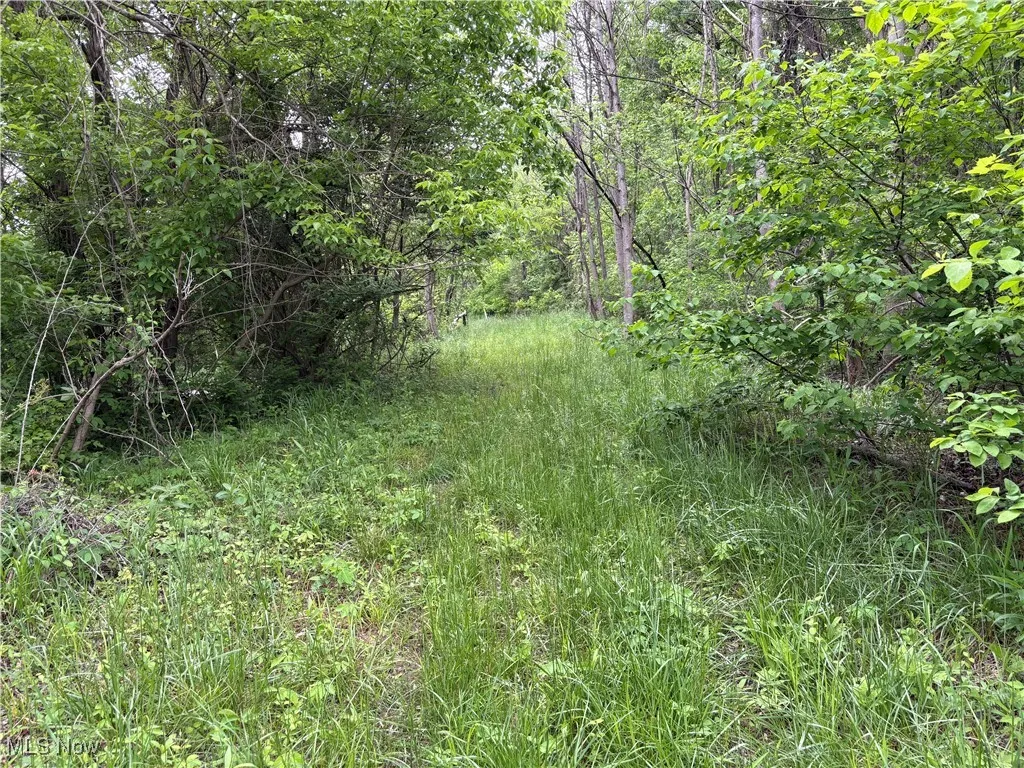 Granger Hill Road, Zanesville, Ohio,MLS Now Listing ID