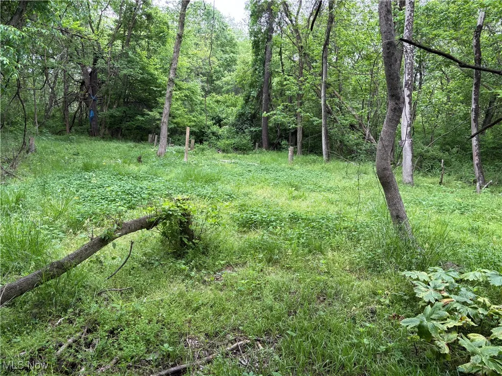 Granger Hill Road, Zanesville, Ohio,MLS Now Listing ID