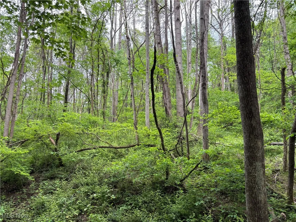 Granger Hill Road, Zanesville, Ohio,MLS Now Listing ID