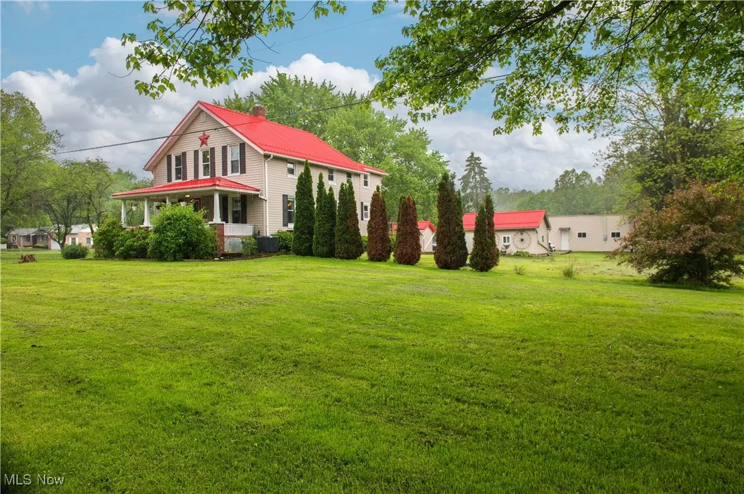View of grassy yard