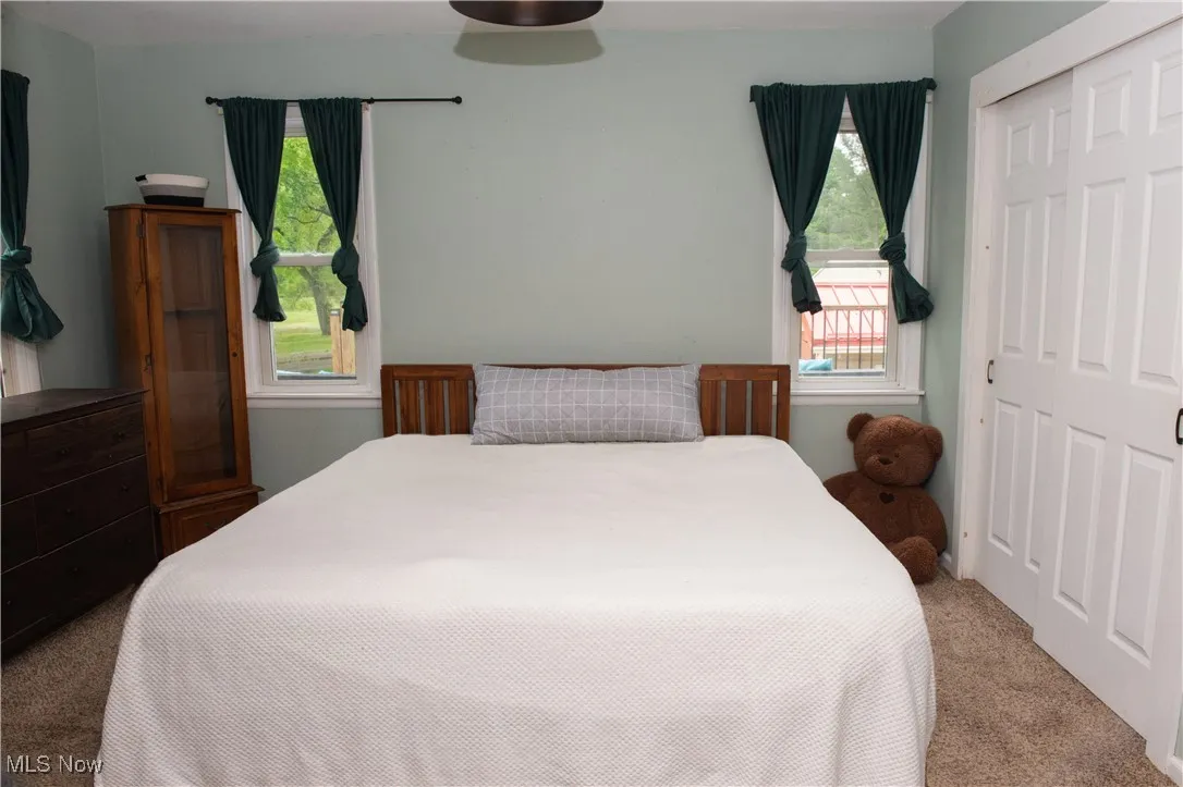 Bedroom featuring carpet and a closet